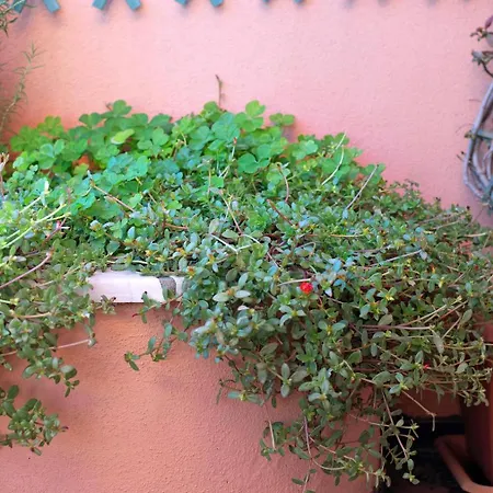 Διαμέρισμα Casa Costa *