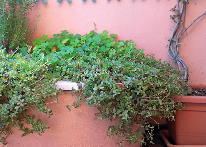 Lägenhet Casa Costa *